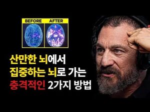 10분도 못 앉아있던 아이를 바꾼 뇌과학 집중력 루틴 5가지